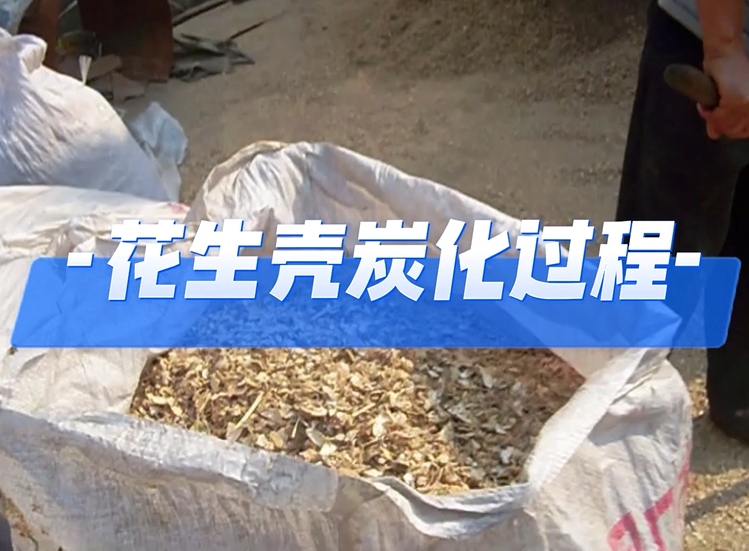 探索花生壳的宅男视频在线免费观看之路,发现绿色能源的再生